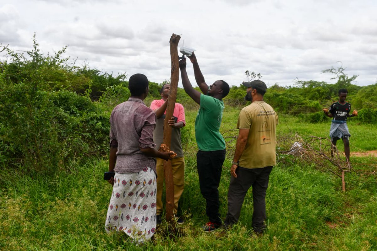 Hirola Conservation tweet media