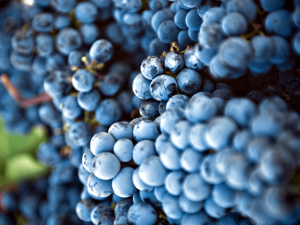 Andrea Gori tweet media