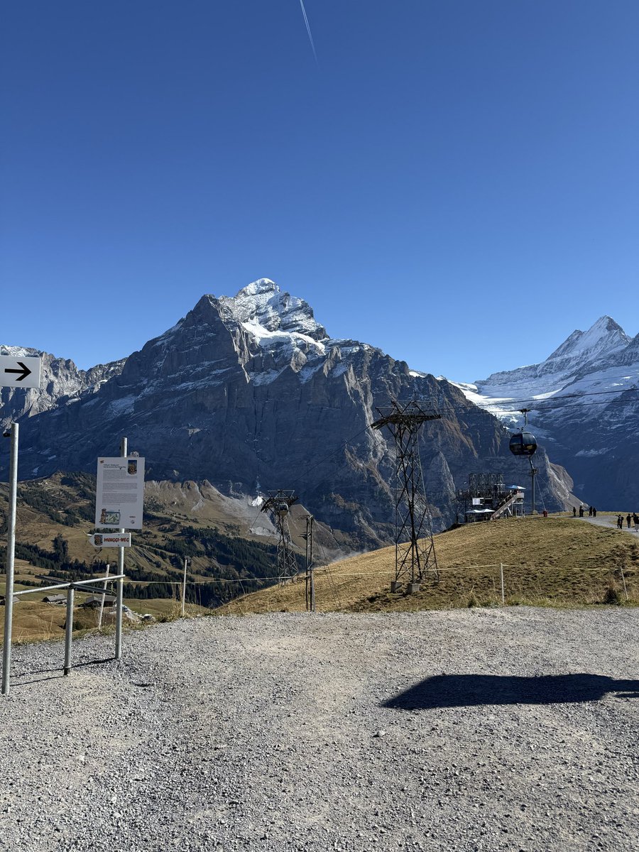 First, Grindelwald 🏔️⛅️