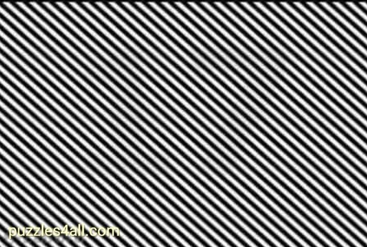 sweet_nector1's tweet image. Eye test - what do you see in this picture?