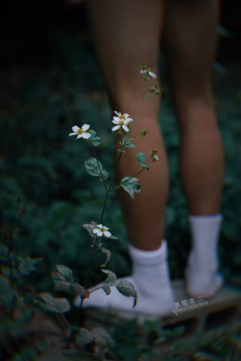 路边的野花可尽情欣赏
📸：<a href="/Unclepan01/">潘蜀黍</a> 

#户外暴露 #私房写真 #福建约拍 #1S #SM #男男 #招募私房写真 #男体写真 #男体摄影 #废土猎人 #钻石男高 #潘蜀黍 #泉州 #户外漏出 #情侣写真