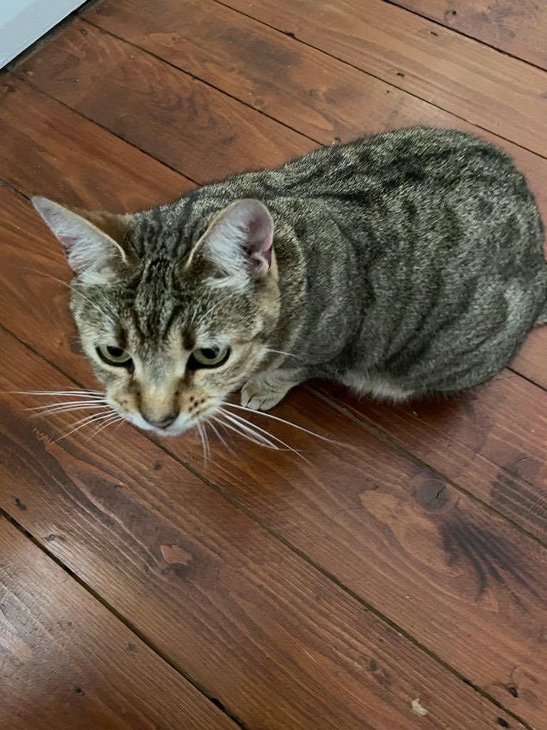 My prison guard when I was isolating