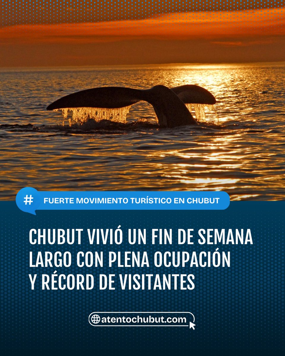 ✈️ CHUBUT VIVIÓ UN FIN DE SEMANA LARGO CON PLENA OCUPACIÓN Y RÉCORD DE VISITANTES

Entre el 10 y el 12 de octubre, la provincia registró altos niveles de ocupación en todos los destinos turísticos, con gran afluencia en el avistaje de ballenas y más de 11 mil visitantes en Áreas