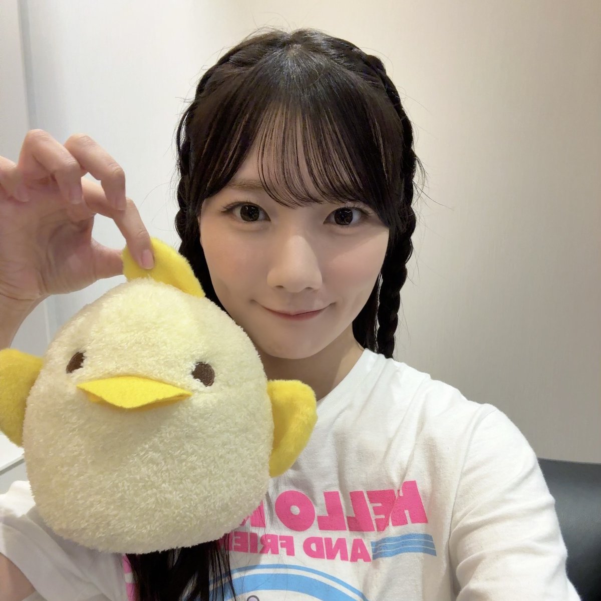 日向坂46 河田陽菜 カワウソ ぬいぐるみ
