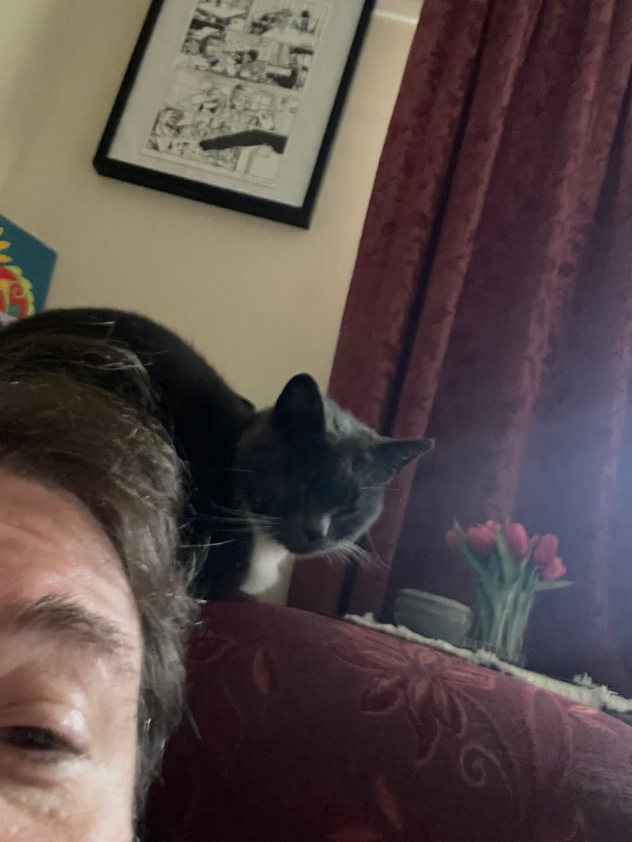 nickluckham's tweet image. Two directions of phone camera. In front and behind are cats. Crumpet loves Kali and wants to be near her. Kali doesn’t feel the same. I am the buffer.