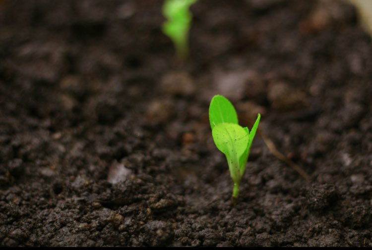 angelica_kalu's tweet photo. Your biggest fear isnโt failure.
Itโs reaching the end of your life and realizing it didnโt amount to anything.
A thread on how to live up to your full potential (๐งต):
#FaithBasedGrowth
#Purpose
#ChristianMindset https://t.co/ZdkE4HsFQ8