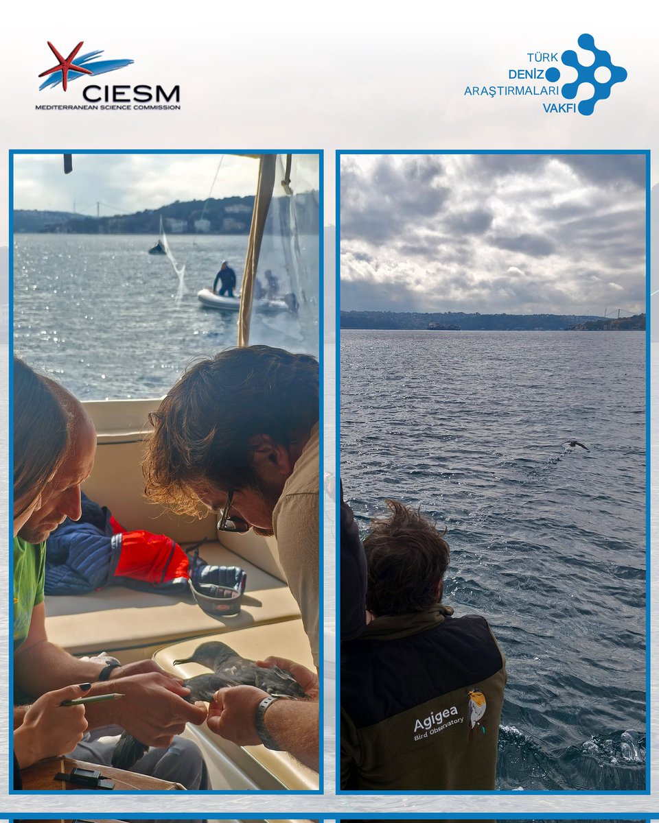 Türk Deniz Araştırmaları Vakfı (TÜDAV) tweet media