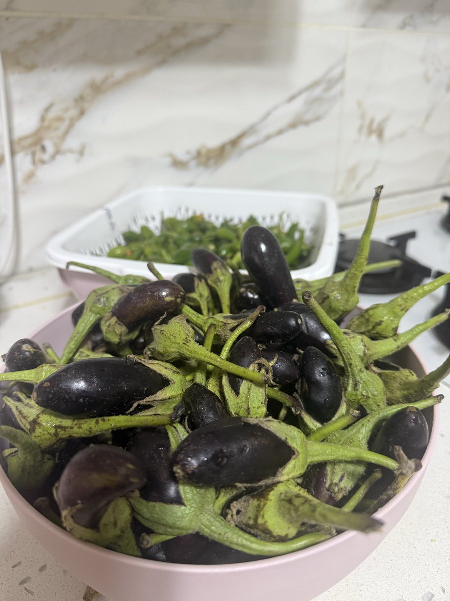 Kamera şişman gösteriyor aslında daha küçükler