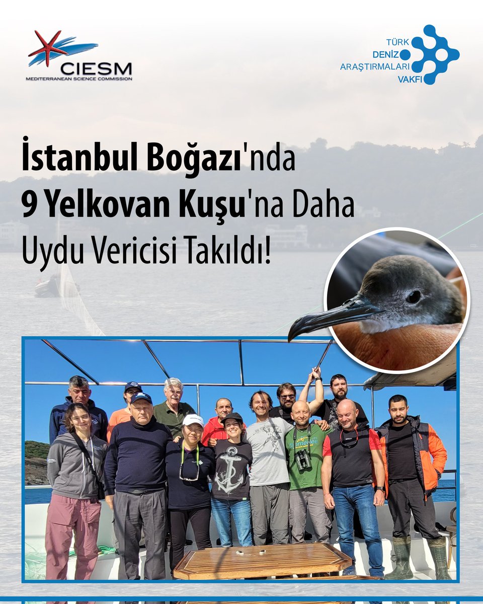 Türk Deniz Araştırmaları Vakfı (TÜDAV) tweet media