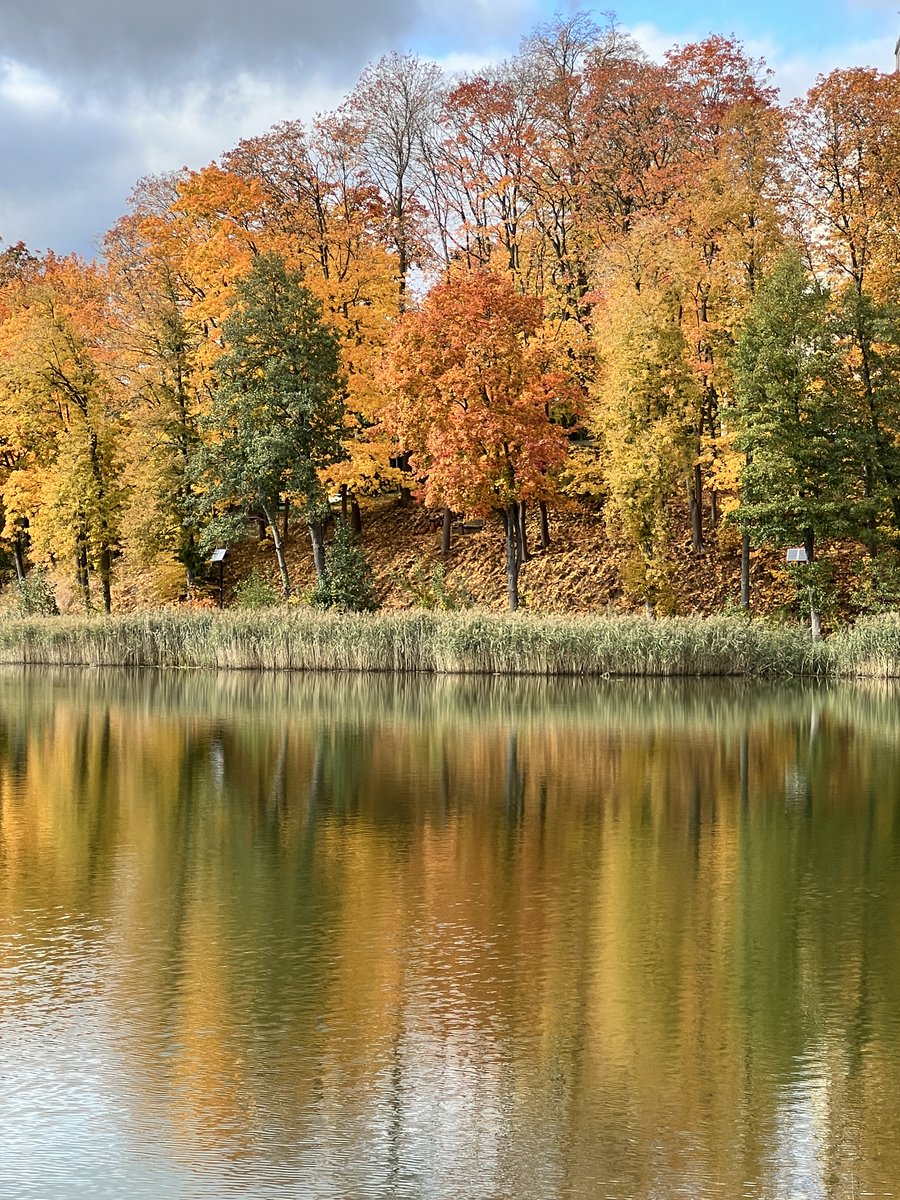 wayne 🦇🔊 tweet media