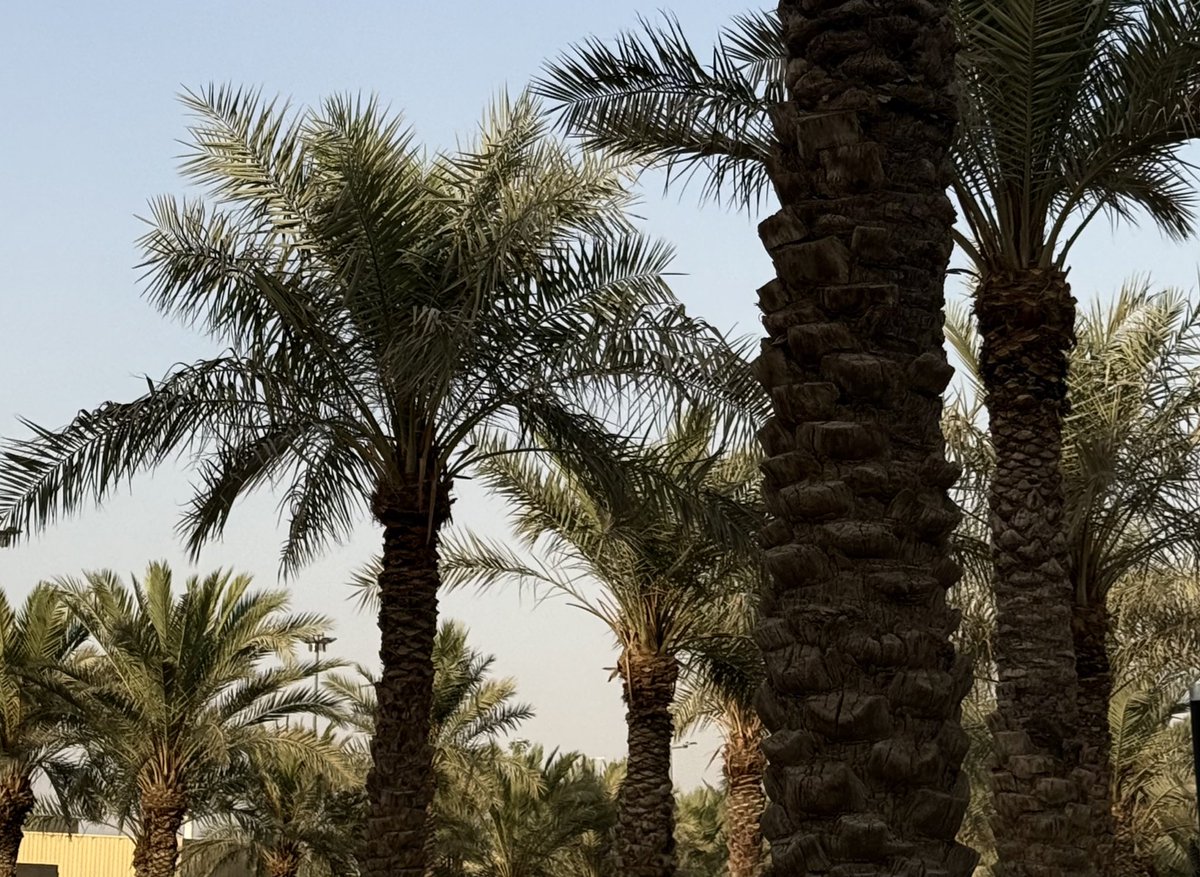 ⁷ (@r1v7i) on Twitter photo 