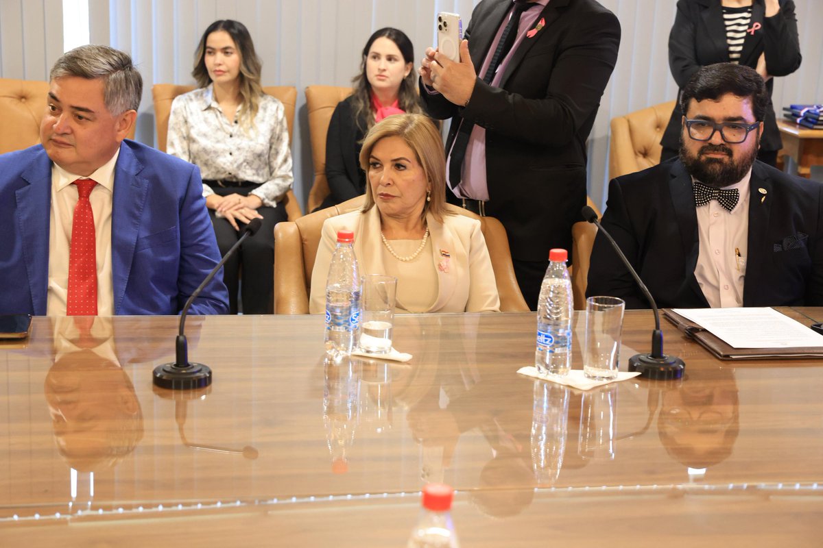 SenadoPy tweet media