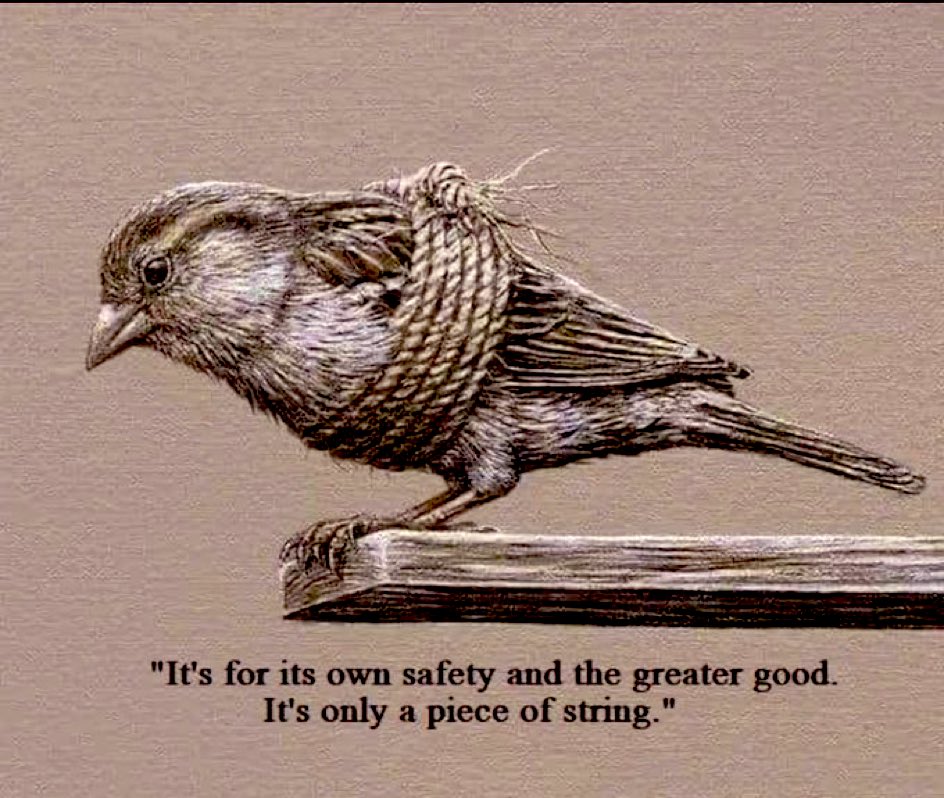 JamesMelville's tweet image. Digital ID metaphor.