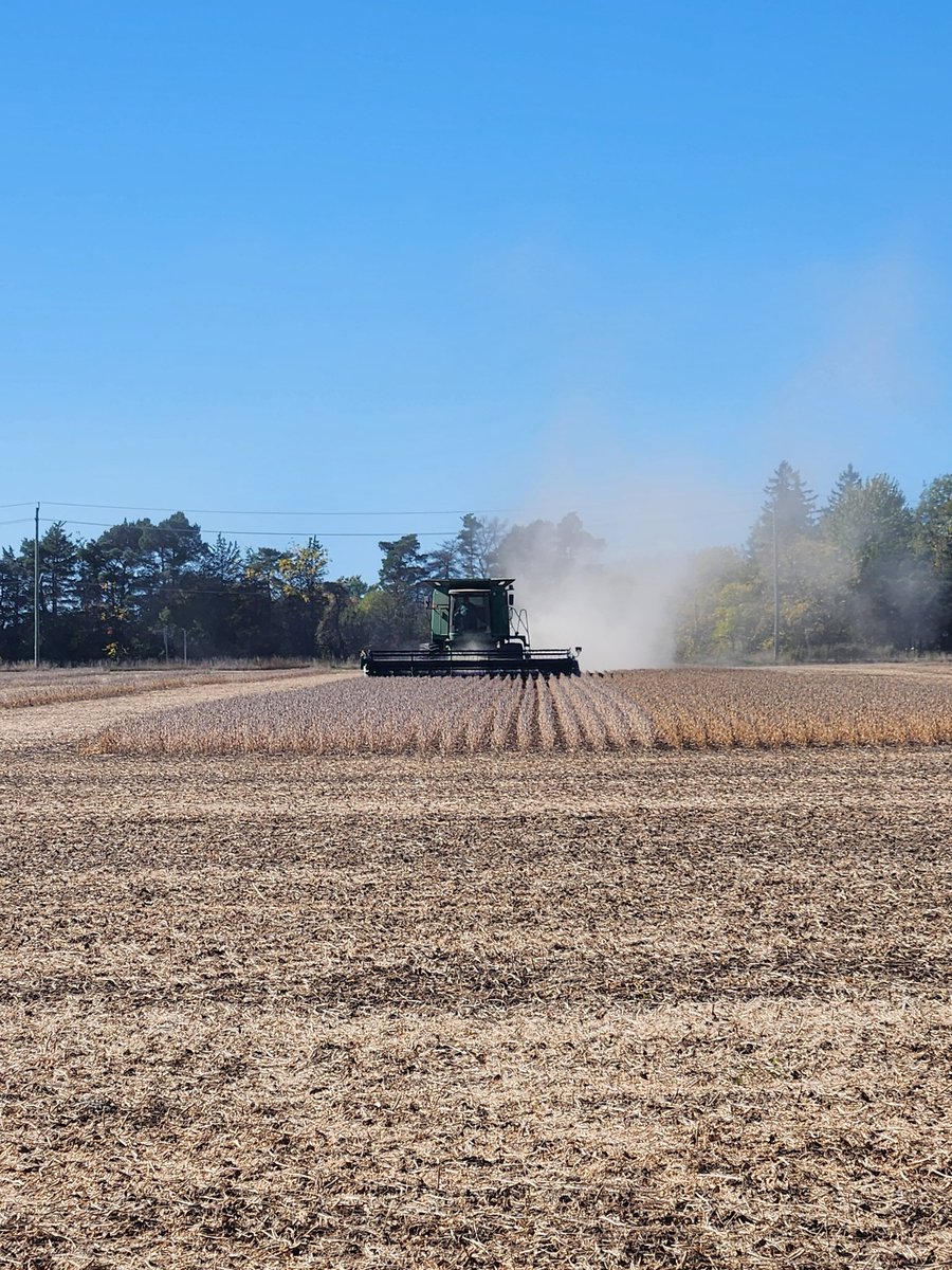 Lakeside Grain & Feed Limited tweet media