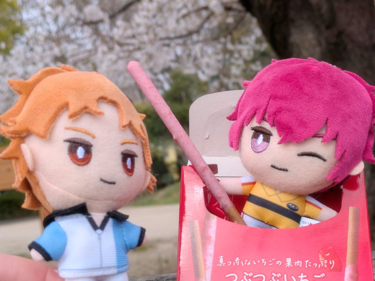 🐑ごりぎゃん🎾🐰ありがとう tweet media