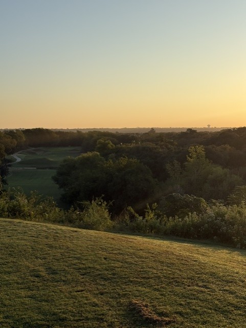 Canopy Solutions tweet media