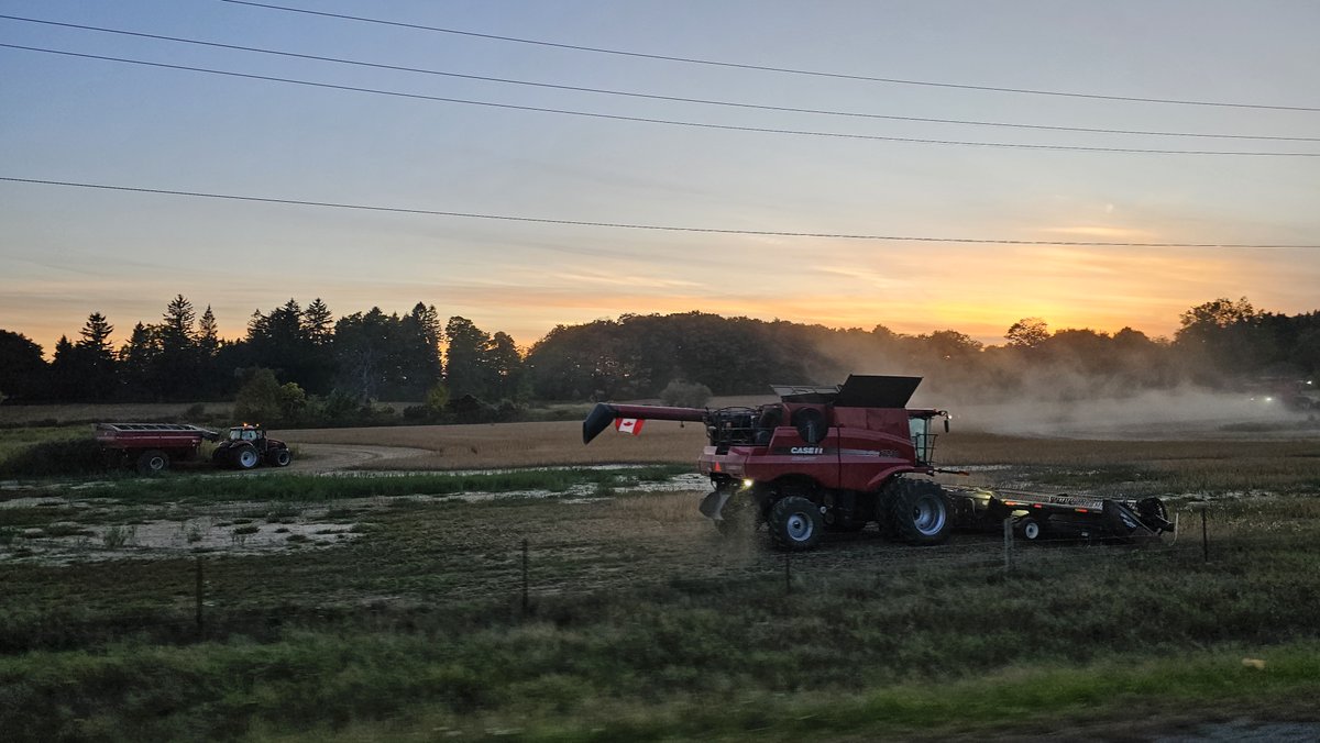 Harvest underway in Peel County

📸: Sharon Grose