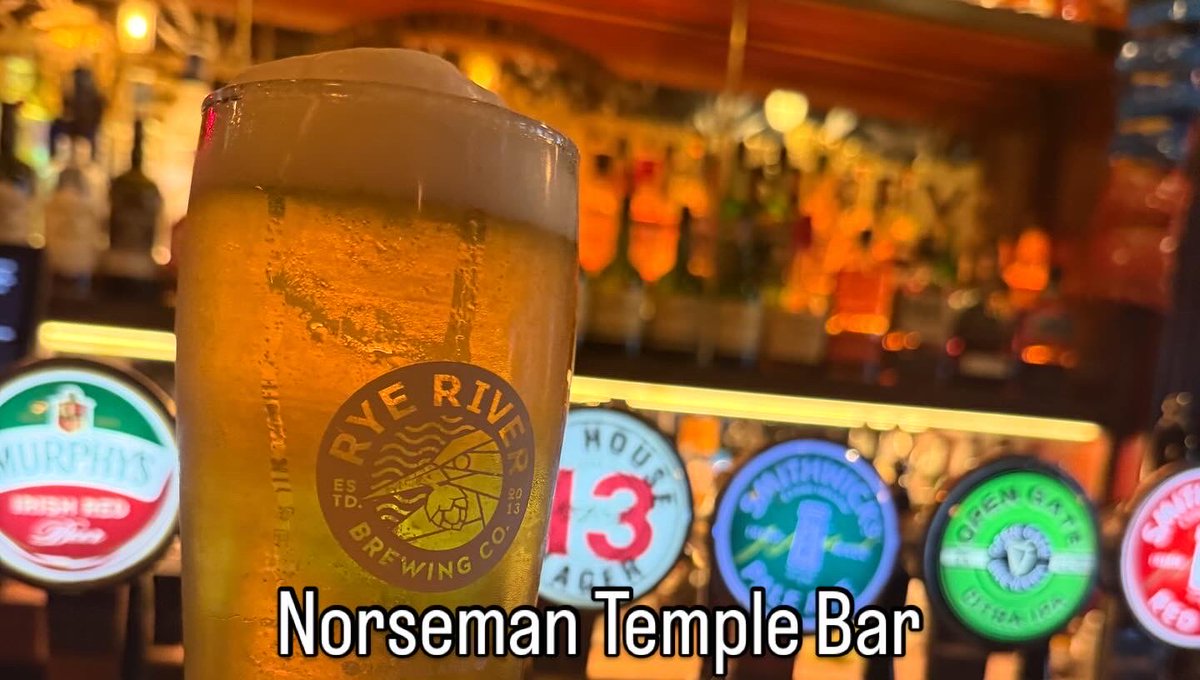 Norseman Temple Bar in Dublin