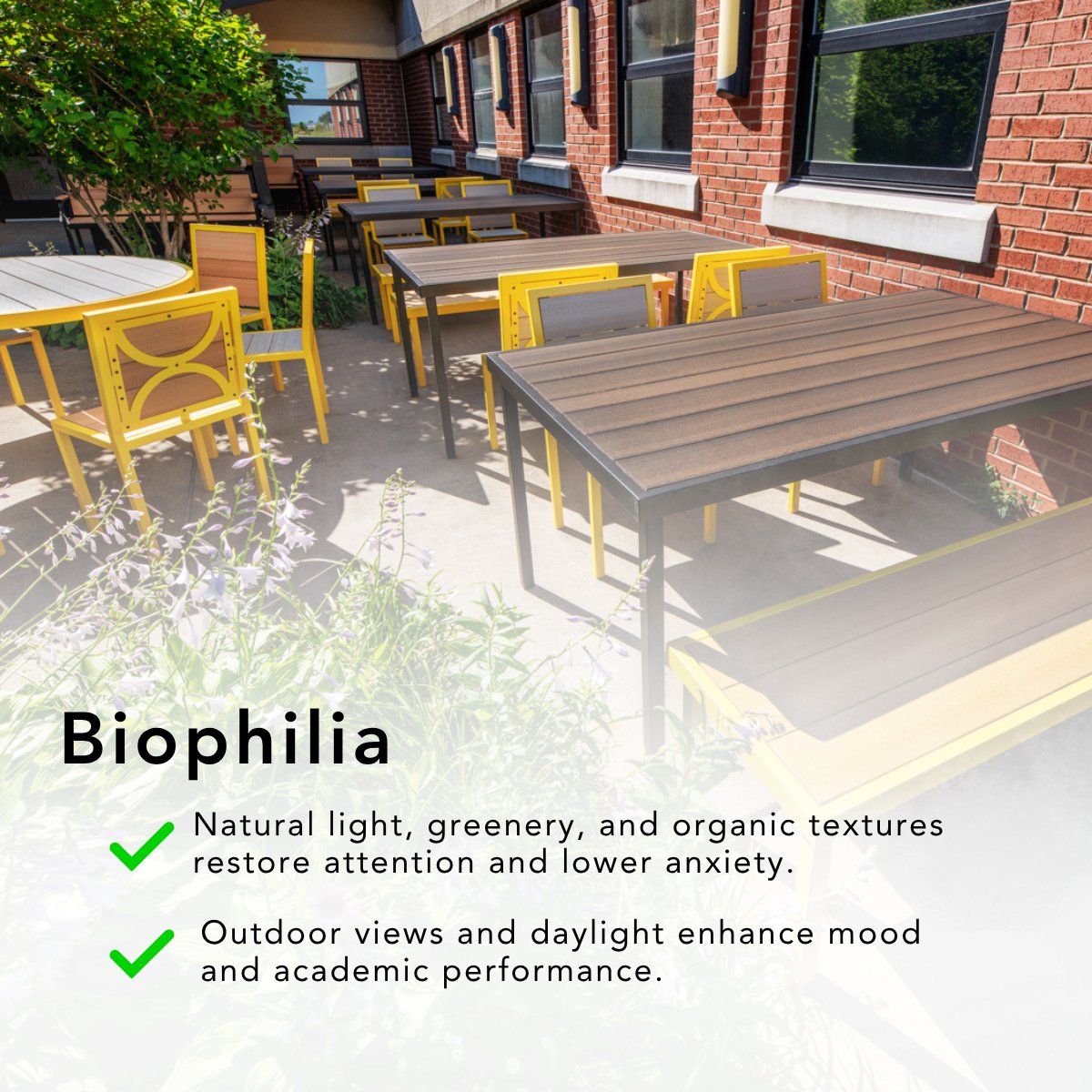 AmTab's tweet image. Designing with the Brain in Mind 🧠✨

When schools are designed with neuroarchitecture principles, students thrive academically, socially, and emotionally.

➡️linktr.ee/amtabmfg