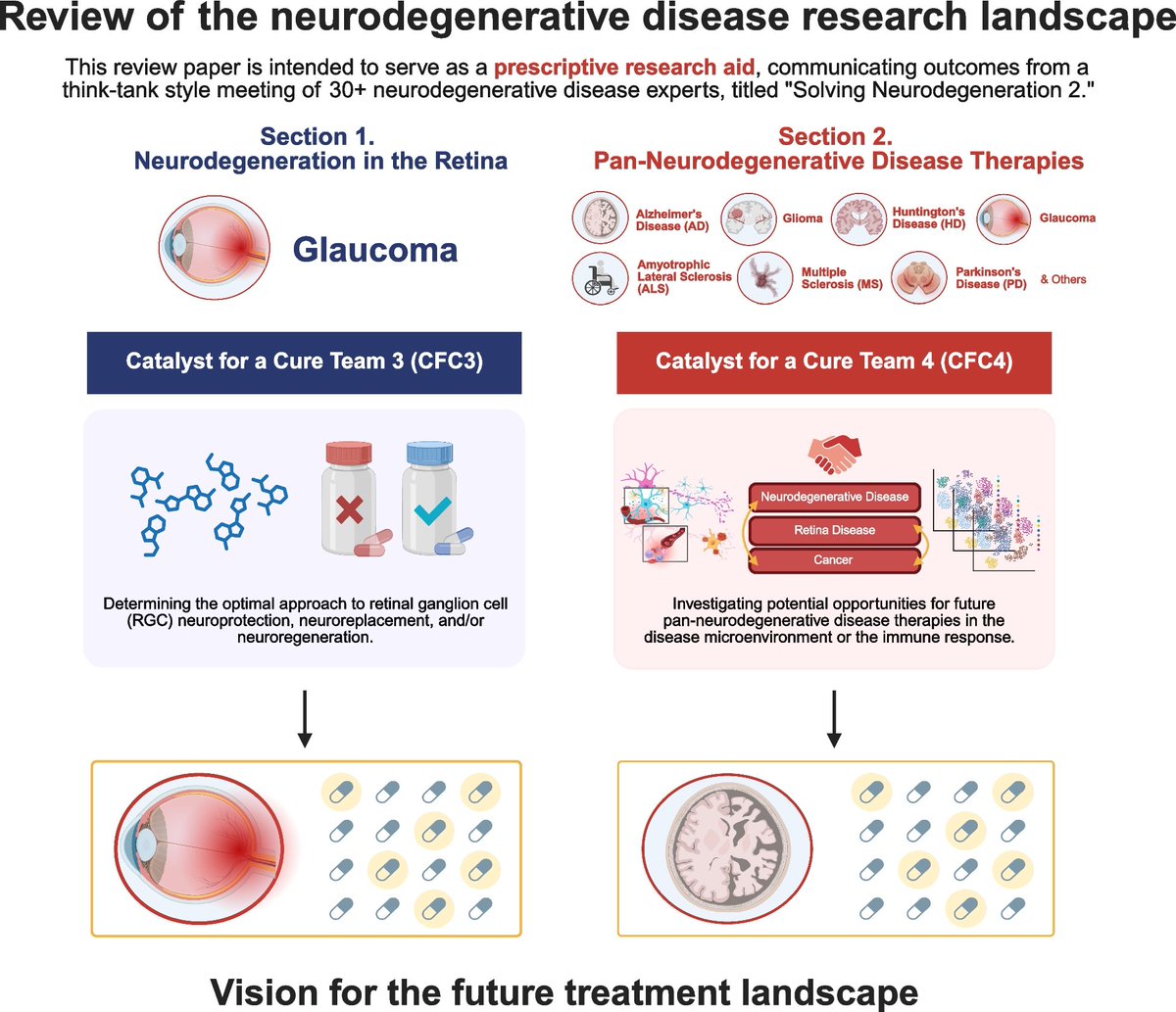 MolNeuro's tweet image. 'Modeling #neurodegeneration in the #retina and strategies for developing pan-neurodegenerative #therapies'

Emily L. Ward, Larry Benowitz, Thomas M. Brunner...John G. Flanagan @GlaucomaOrg @UCBerkeley @harvardmed #Glaucoma #RetinalGanglionCell #glia

…arneurodegeneration.biomedcentral.com/articles/10.11…