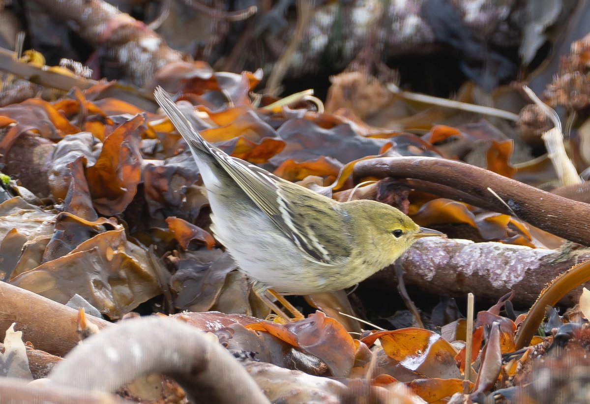 Paul Cashmore tweet media