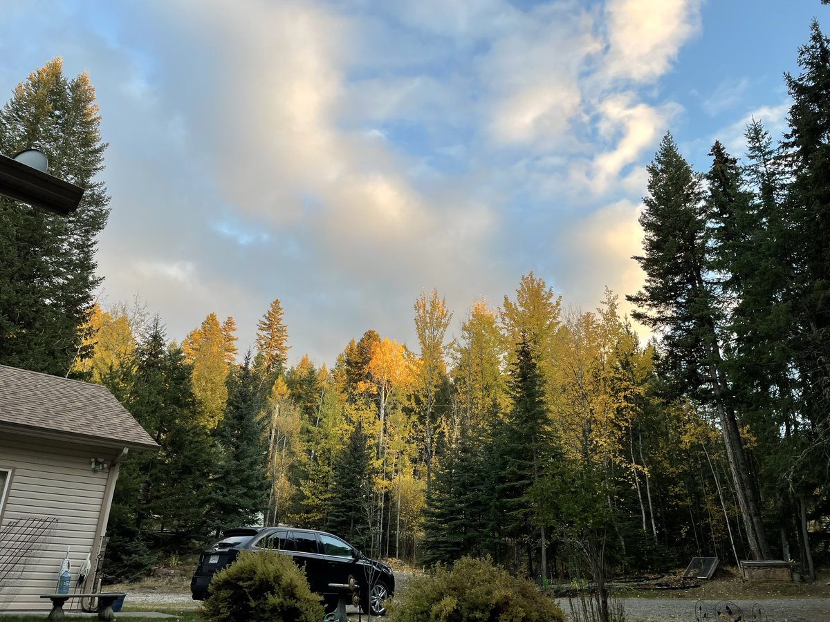 This was a great episode to listen to on a beautiful fall day. I sure wish I’d known about effective math education   BEFORE I retired. Now I know why it was so difficult to implement the programs recommended by my district. I kept going back to Jump Math.