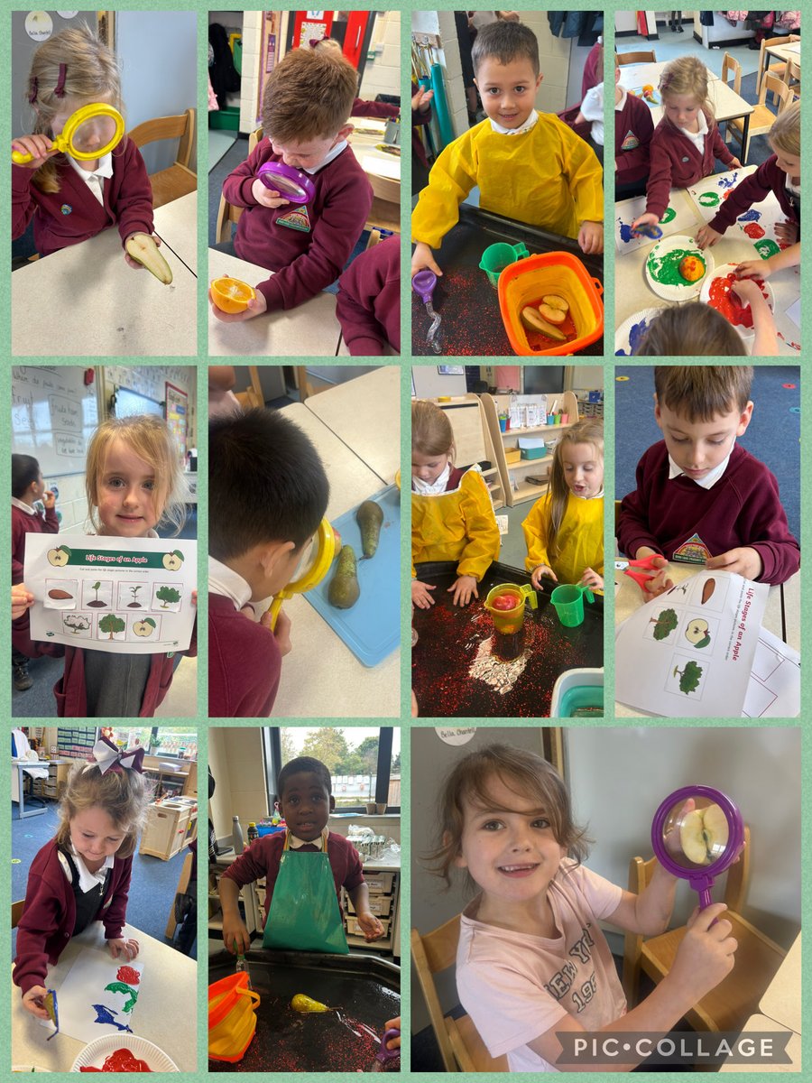 Miss Goldsmith tweet media