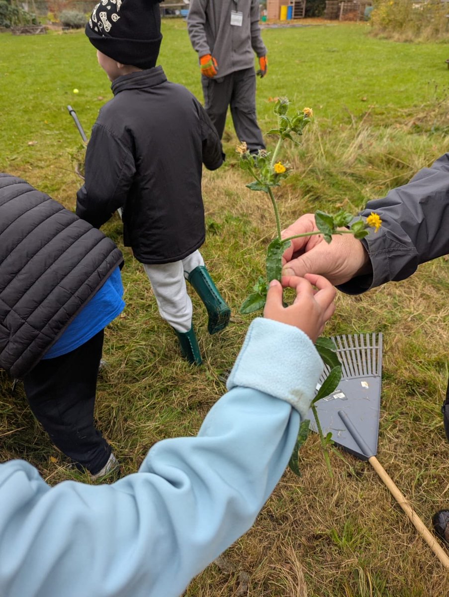 Brompton-Westbrook tweet media