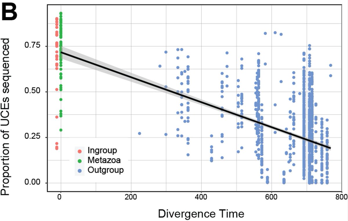 New paper, accepted. Open access. Metazoan UCEs, plus other things like pairwise comparisons of 21 probe sets across 58 genomes and divergence times. Huge group effort on this!

doi.org/10.1093/gbe/ev…