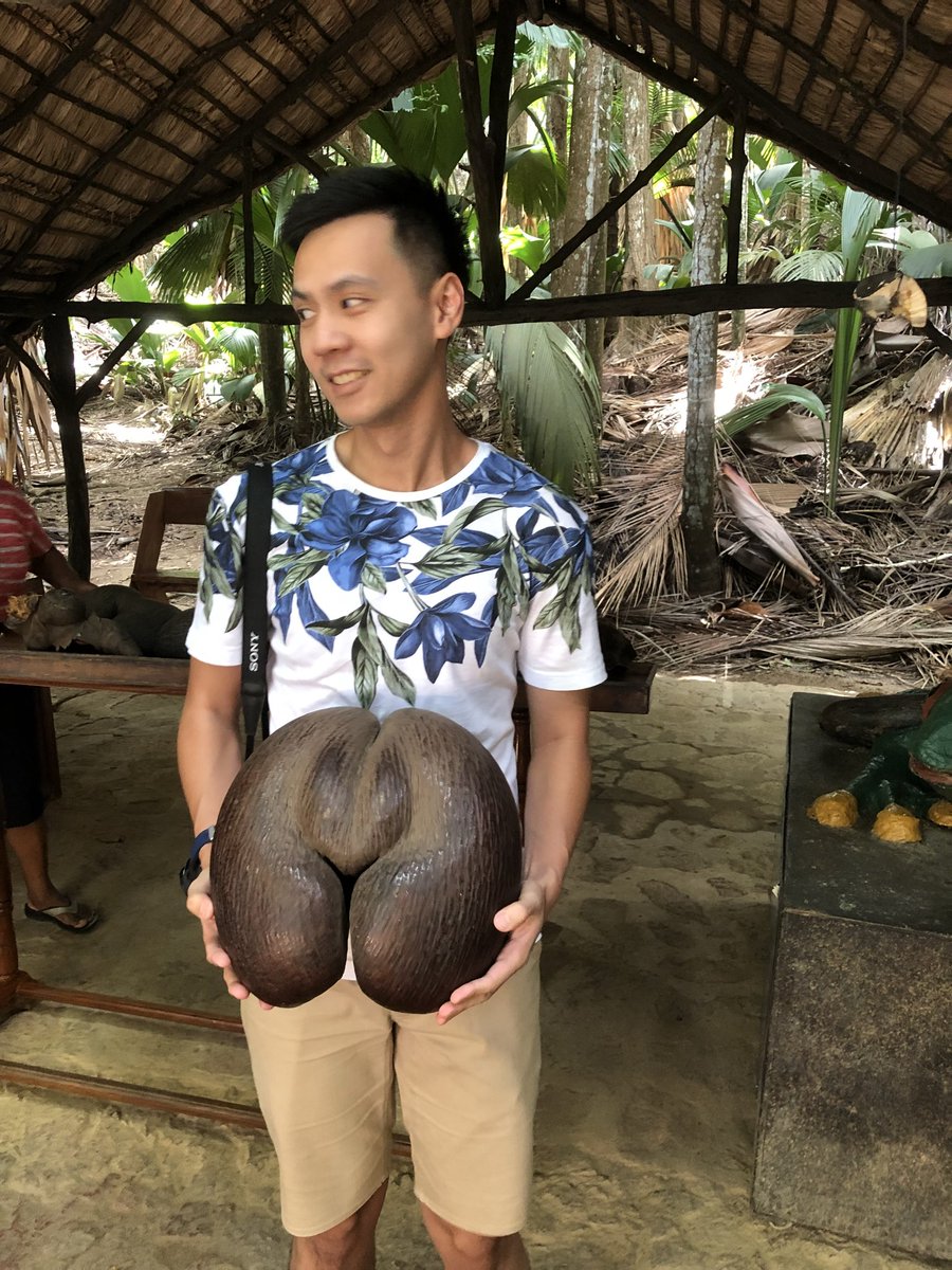 ชอบอันนี้สุดแล้ว เป็นลายมะพร้าว