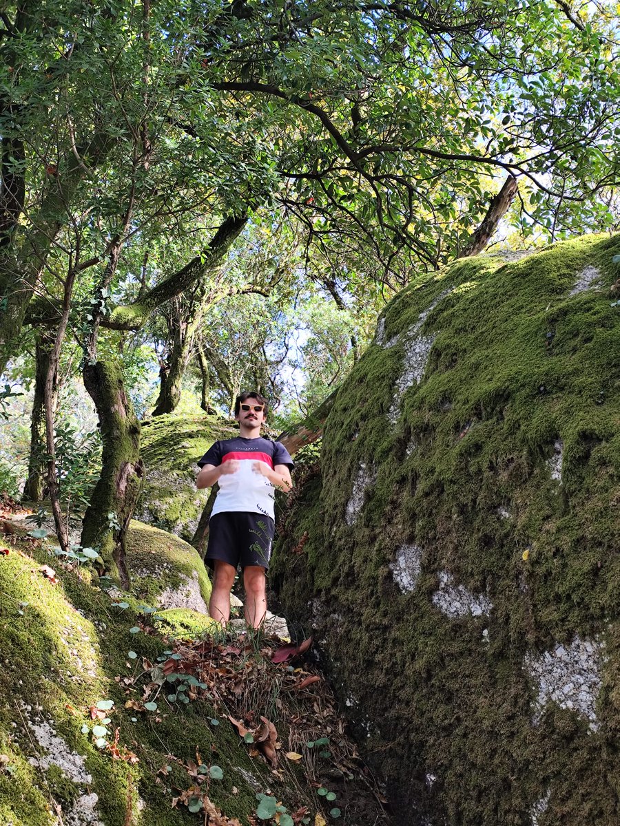 Happy Tuesday 🐸🤓

1st video dropping tomorrow (tokenomics for dummies)

2nd one on Friday (state of gaming and my views on it)

Proof of touching grass this weekend 😌

(My hands are blurred bc I had just leaped up there &amp; my hands were still coming into a full stop)