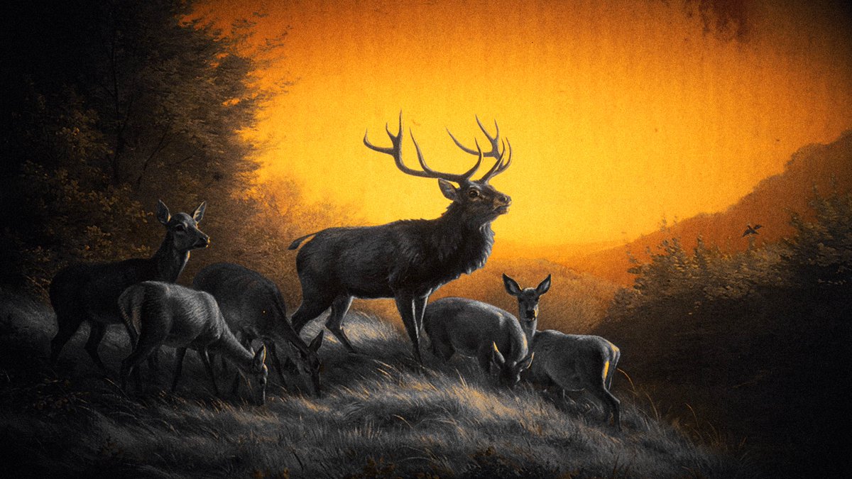 Petit motion design pour <a href="/legrandjd/">LEGRANDJD</a> 🦌🦌

On a repris certains tableaux du peintre Carl Friedrich que j'ai remixés avec une DA orange/noir et blanc, et un style encyclopédie. Ça rend trop bien ! 

(Qui se souvient de Animalis ?)