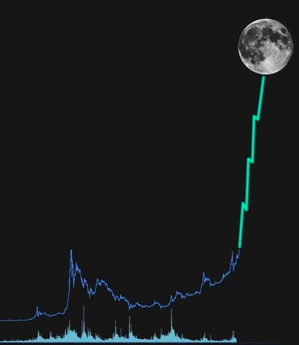 ApeIsLive's tweet photo. What memecoin is going to the moon? 🚀 https://t.co/VOUDSIaKAG