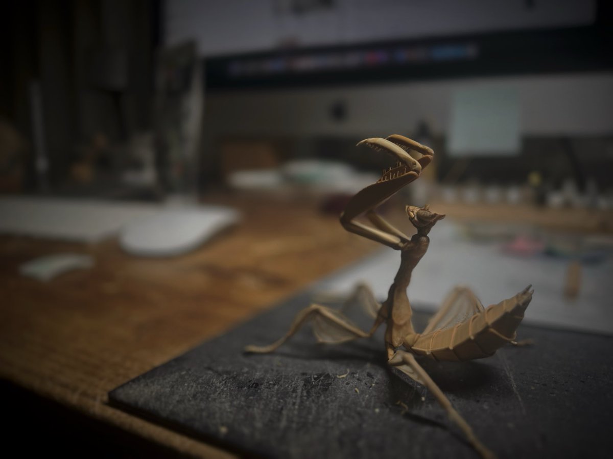 齋藤 徳幸 BAMBOO INSECTS 昆虫竹細工 (@noriji_s) / Posts / X