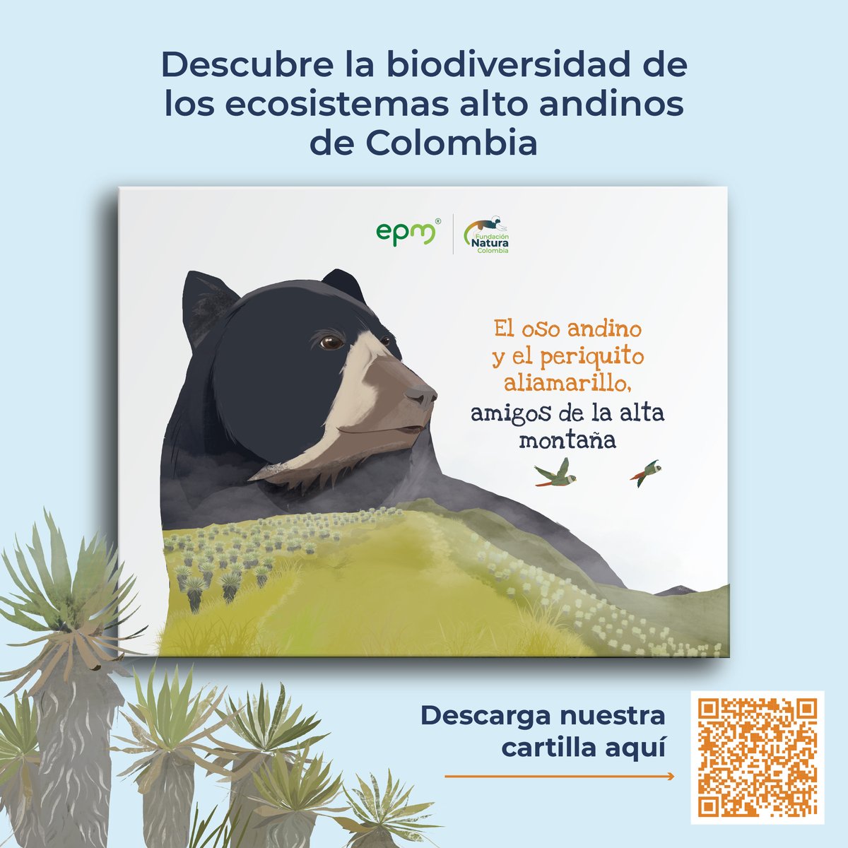 fundacionnatura's tweet photo. En el marco del #ConvenioEPM_FN, te presentamos "El oso andino y el periquito aliamarillo, amigos de la alta montaña": una publicación didáctica, entretenida y divertida, con una historia protagonizada por la guardabosques Ana y su relación con la fauna endémica.🦜🐻 https://t.co/73oV9QVpE6