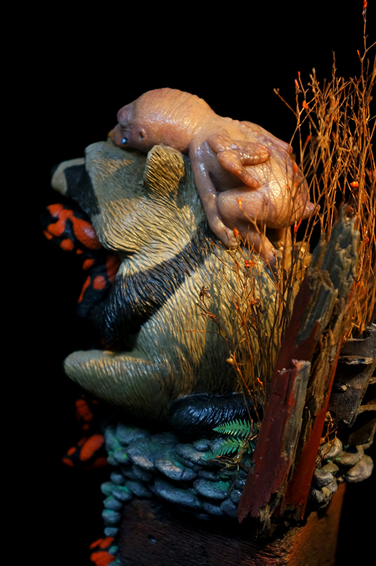 荒野裡的狸次郎