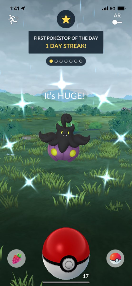 It took years but I finally have my shiny pumpkin

#PokemonGO #shinypokemon