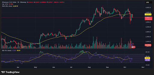 LarkDavis's tweet photo. $SOL is tightening up between key levels.

If it breaks upwards, the Fib 1.618 points toward $300+

If it breaks down, the next possible support levels are at $169 → $125 → $95

One clean move from here decides the next major trend. https://t.co/z7bDZYxirF