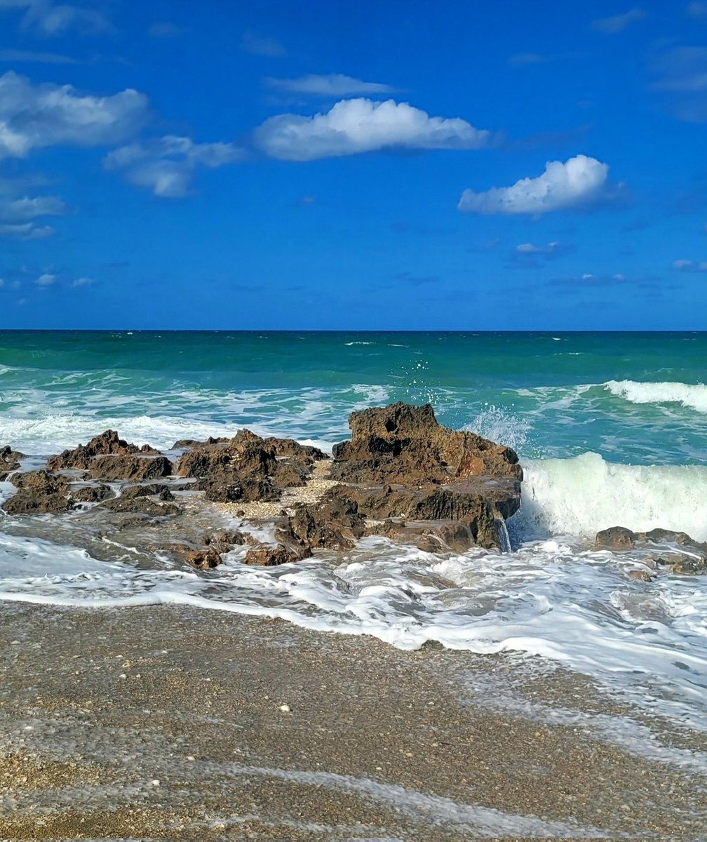 RockinTuesday 
Jenson Beach Florida