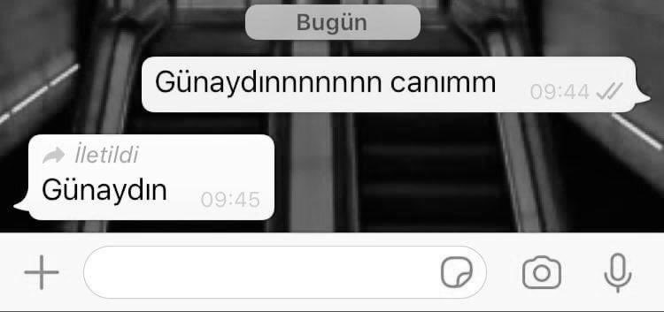 Ne diyim ben şimdi buna