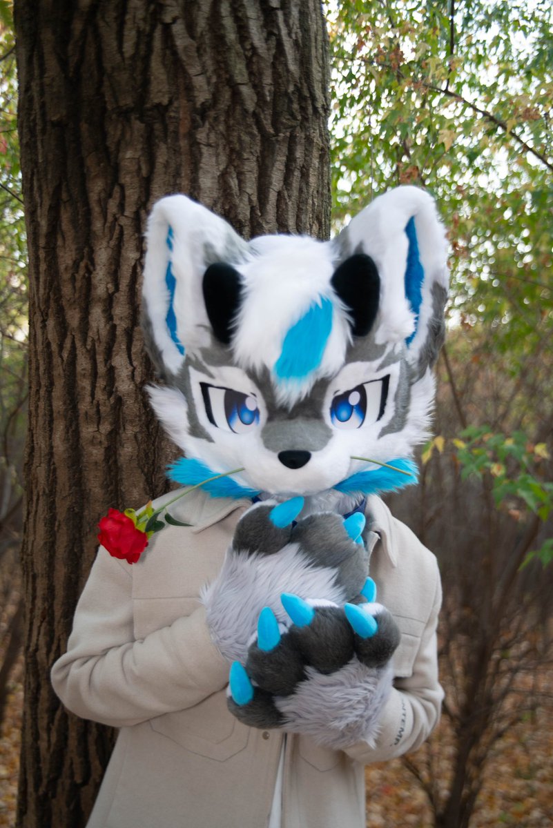 于是我驻足 只享受属于我的片刻.#furry #furmony