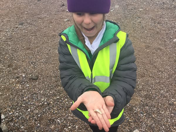 AlphonsusSt's tweet photo. Year 4 have had a fantastic day at Teesmouth and North Gare today. 🌊Children explored the sand dunes and the mouth of the River Tees. 👏😀 
#teesmouthfield #strongershores https://t.co/SKBUg9bVbK