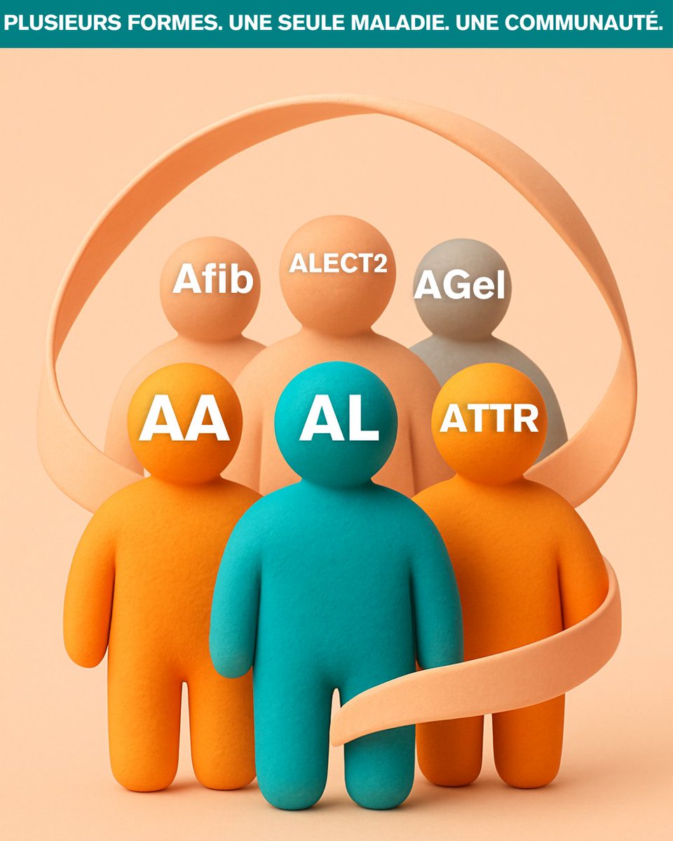 Association Française contre l'Amylose tweet media