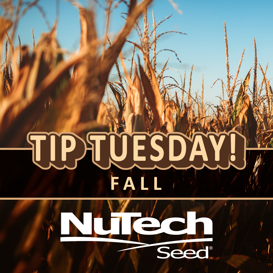 As crops come out, it is time to soil sample to determine fall fertilizer needs. 🧪

#TipTuesday