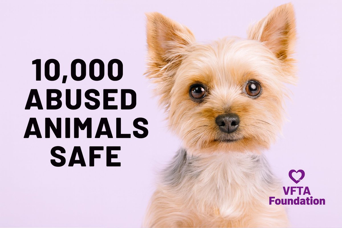 10,000 abused animals rescued. 10,000 lives given a second chance.

Lifeline’s milestone proves compassion saves lives.

Read the story: ksltv.com/education-scho…
Would you step up to save one more?

#AnimalRescue #AnimalWelfare #AnimalRights #AdoptDontShop #EndAnimalCruelty