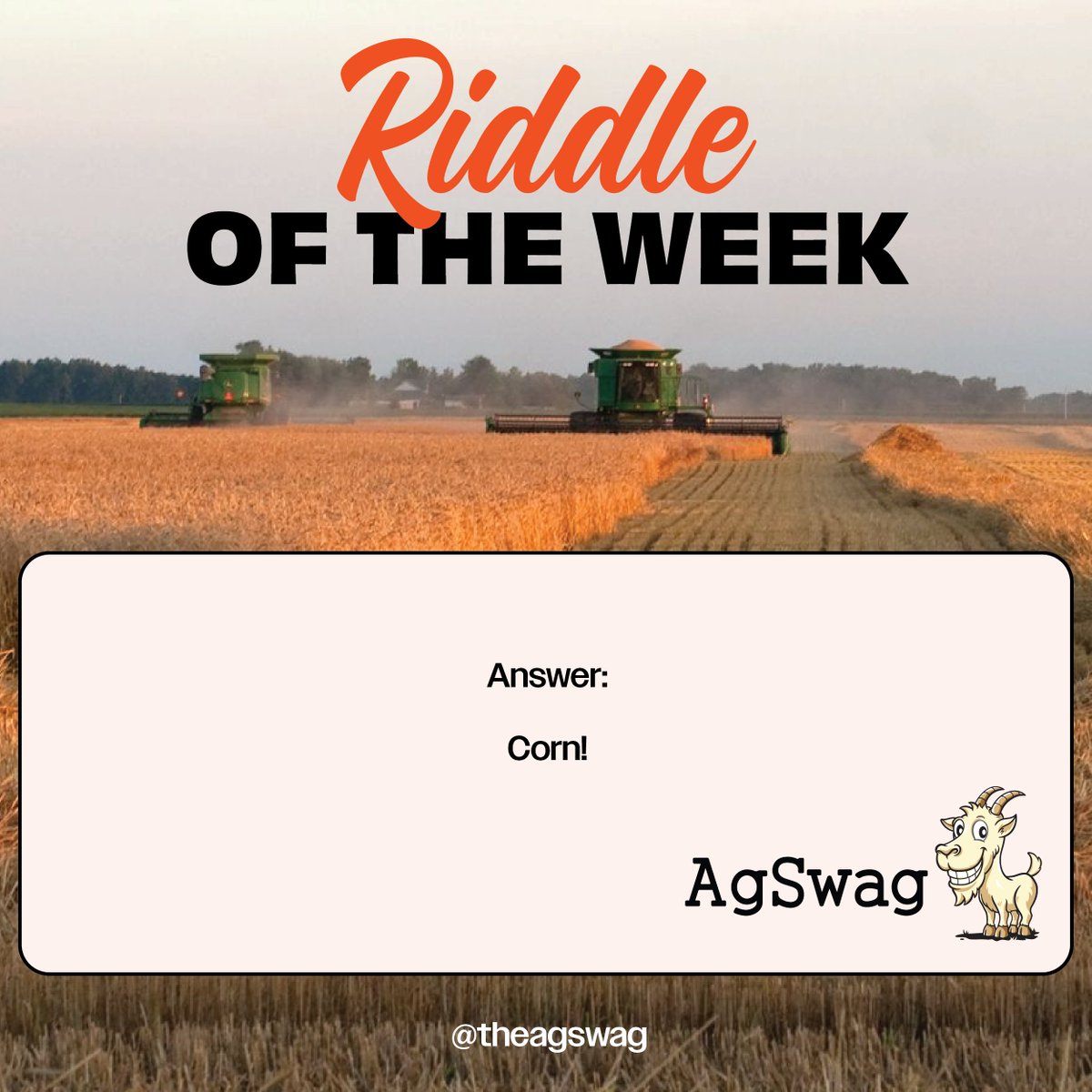 AG RIDDLE OF THE WEEK! 🤠🌱🌟

#agswag #agriculture #riddleoftheweek