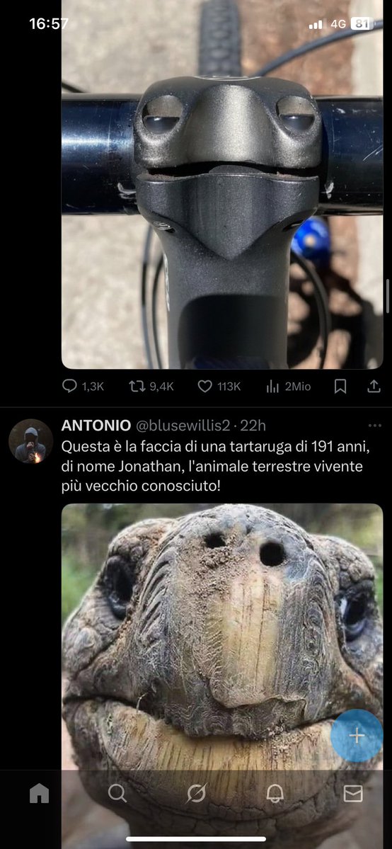 mi sento male per l’algoritmo di Twitter