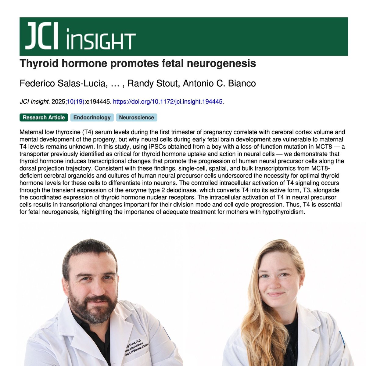 NYITCOMDO's tweet photo. Congrats to Amanda Charest & Dr. Randy Stout on their new JCI Insight publication, “Thyroid hormone promotes fetal neurogenesis.”
Their work reveals how thyroid hormone drives early brain development.
https://t.co/hO8AMAZk6s
#NYITCOM #Research #BRIIC @randystout18 https://t.co/16fhZjBAtr