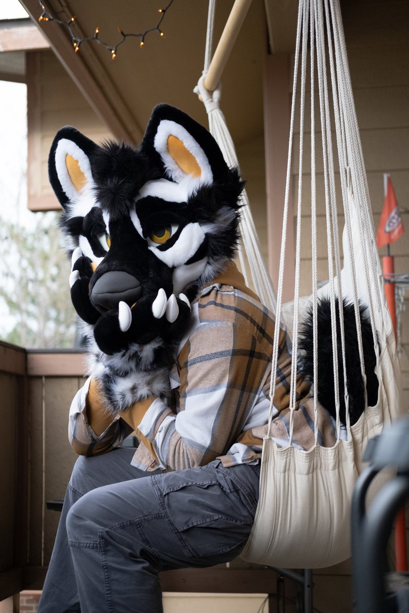 G'morning :3

📸: <a href="/whiskey_bat/">Whiskey</a>