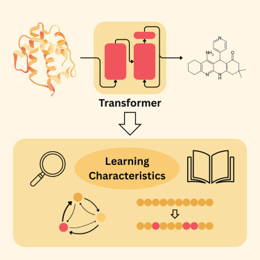 Patterns_CP's tweet image. Online Now: Unraveling learning characteristics of transformer models for molecular design dlvr.it/TNgNpF #datascience